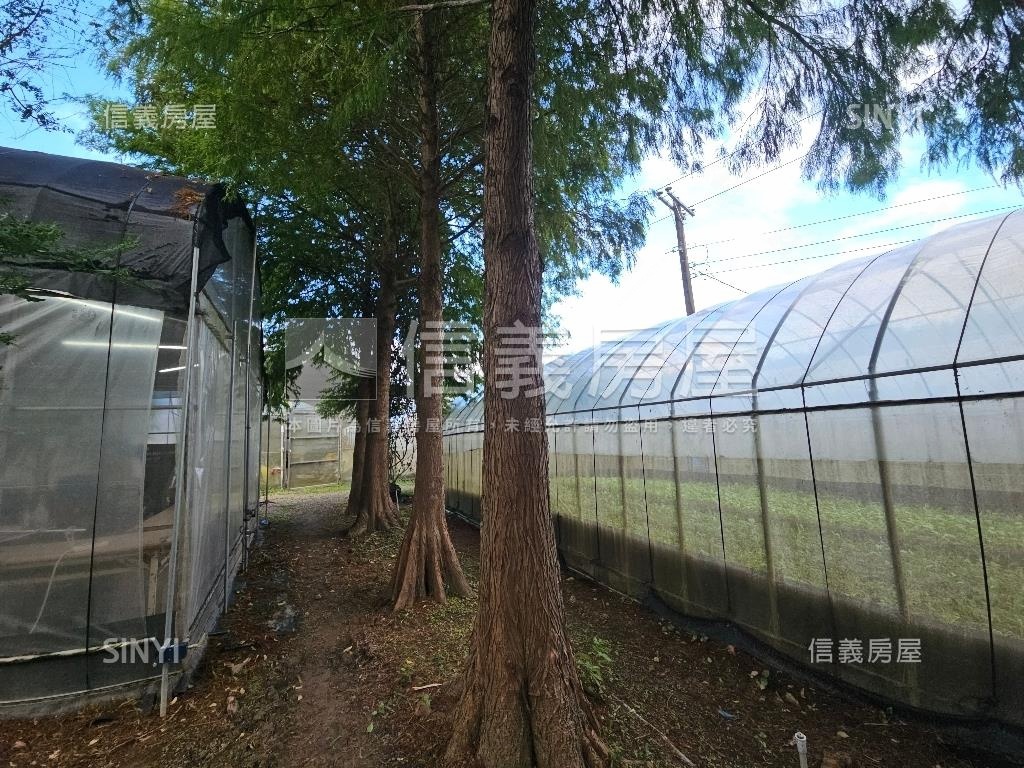 大溪樂活農地房屋室內格局與周邊環境