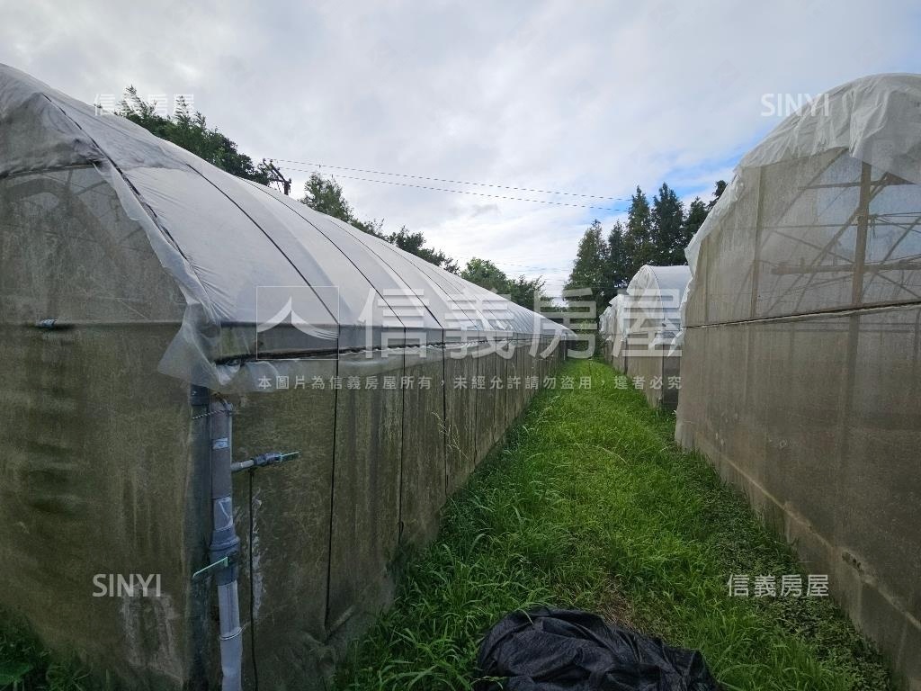 大溪樂活農地房屋室內格局與周邊環境