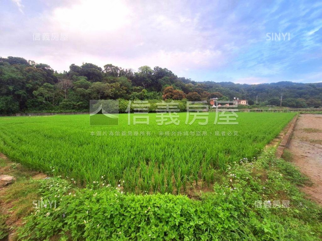 環山有灌溉溝渠農牧用地２房屋室內格局與周邊環境