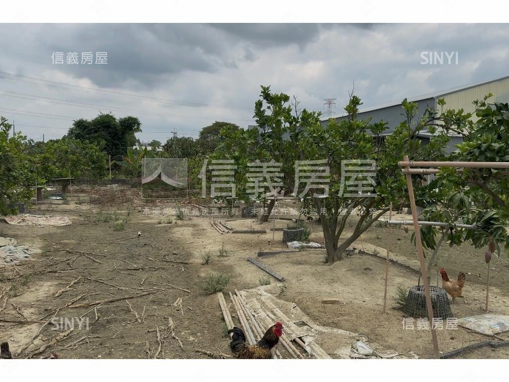 阿蓮農地房屋室內格局與周邊環境