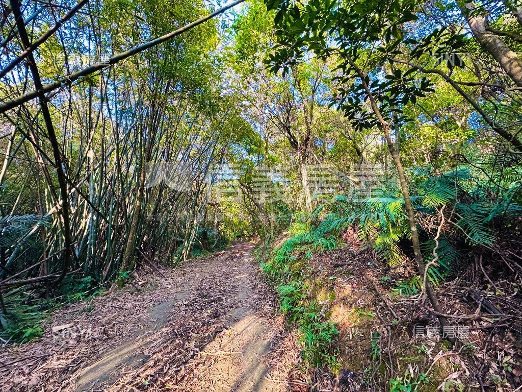 【廣袤汐萬】天賜沃土之壹房屋室內格局與周邊環境