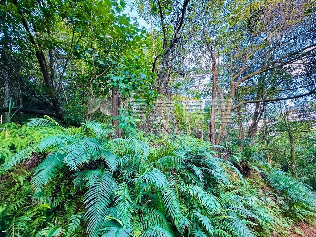 【廣袤汐萬】天賜沃土之壹房屋室內格局與周邊環境