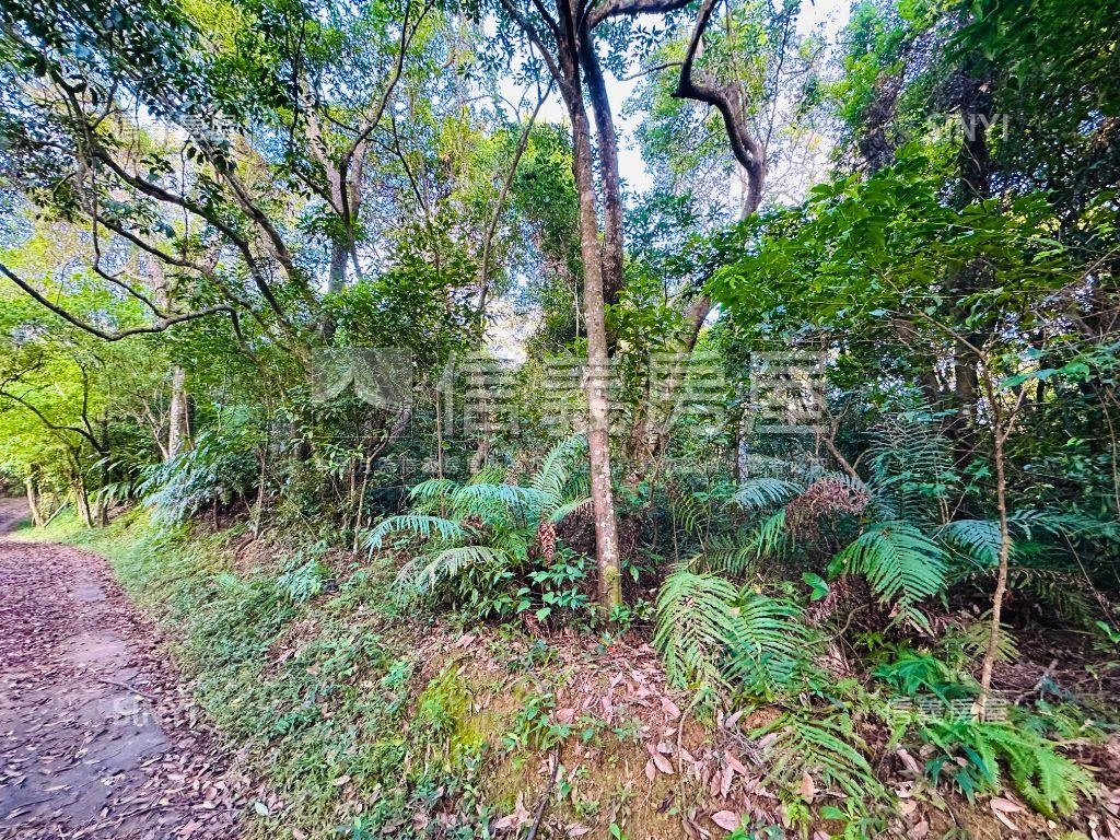 【廣袤汐萬】天賜沃土之壹房屋室內格局與周邊環境