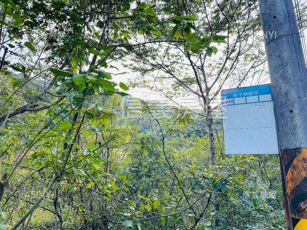 【廣袤汐萬】天賜沃土之壹房屋室內格局與周邊環境