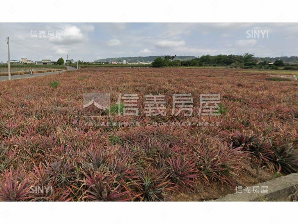 南投名間鄉農地房屋室內格局與周邊環境