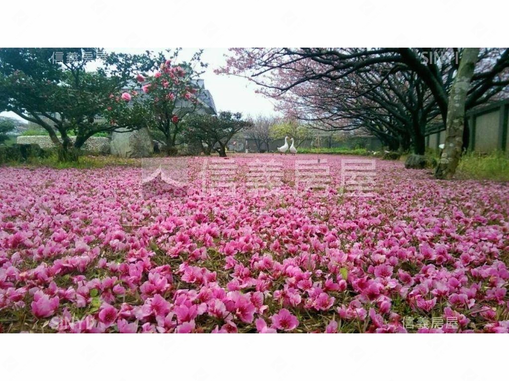 陽明山平菁飛櫻房屋室內格局與周邊環境