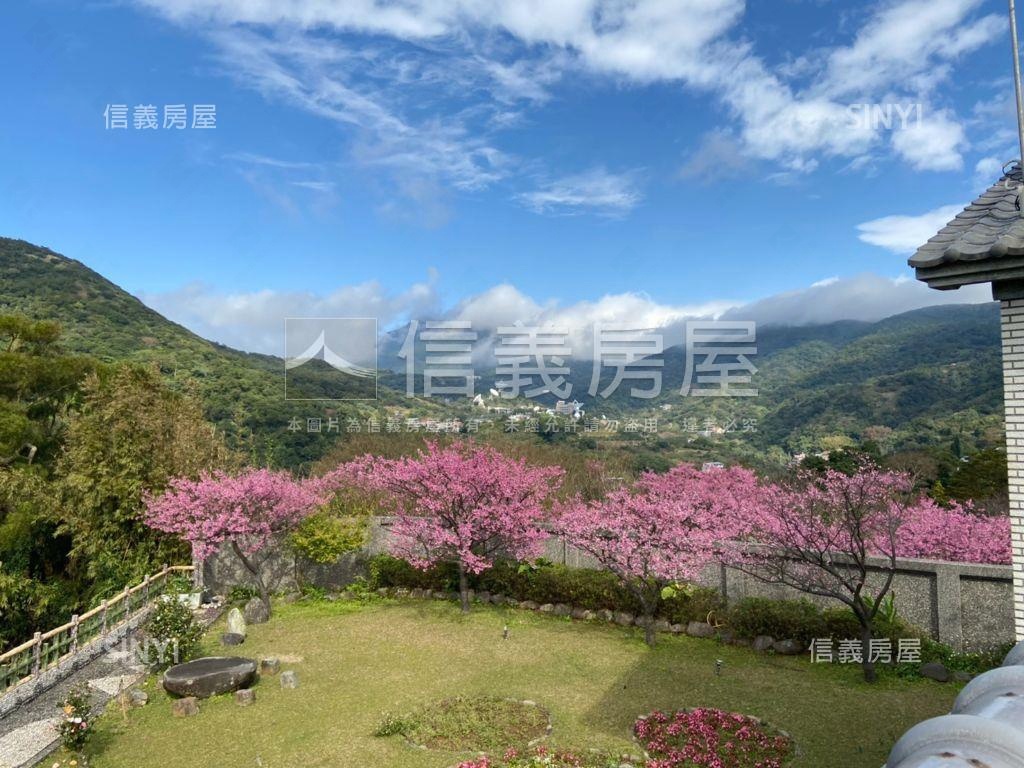 陽明山平菁飛櫻房屋室內格局與周邊環境