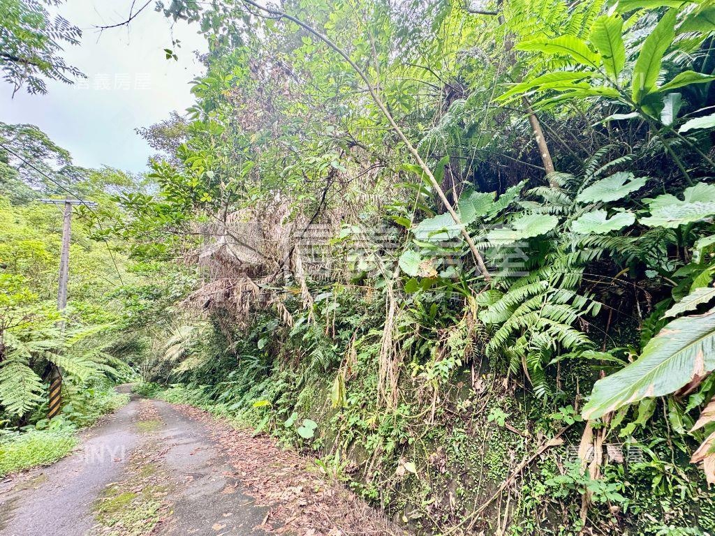 紫微◆百坪林業土地房屋室內格局與周邊環境