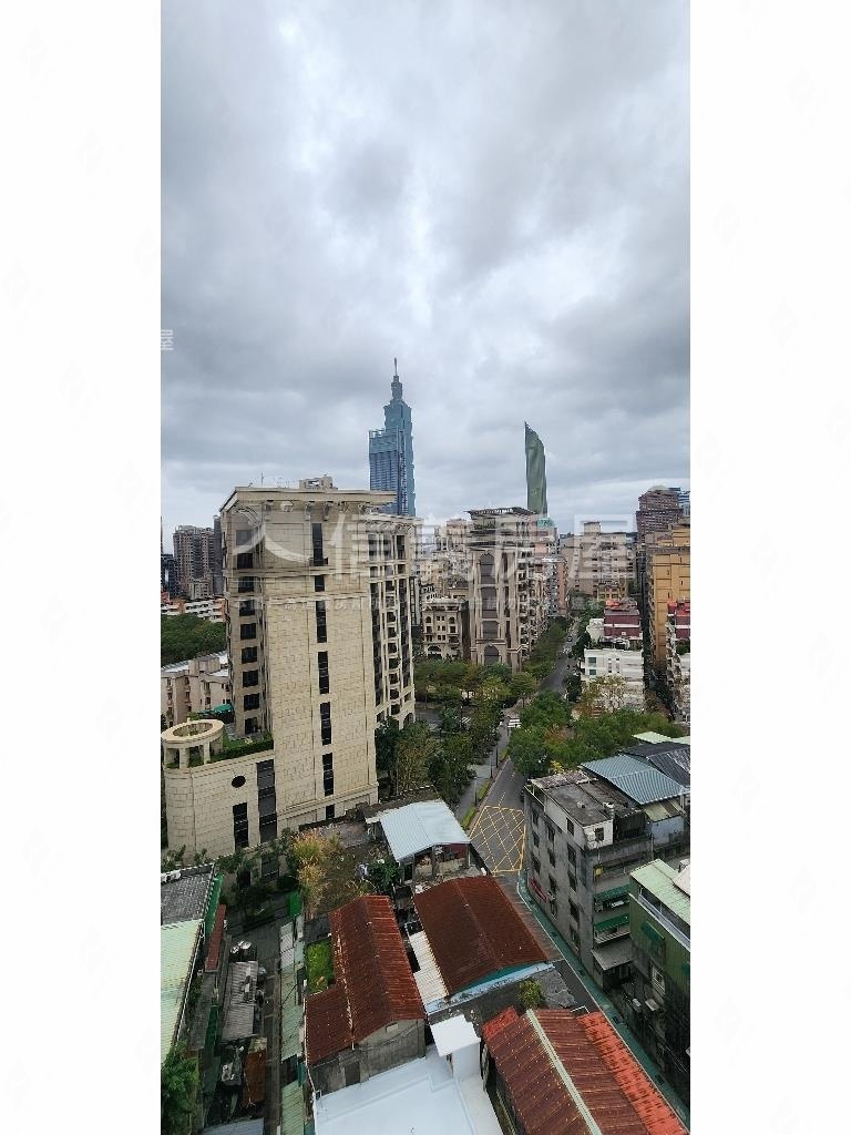 國際名紳後棟景觀房屋室內格局與周邊環境