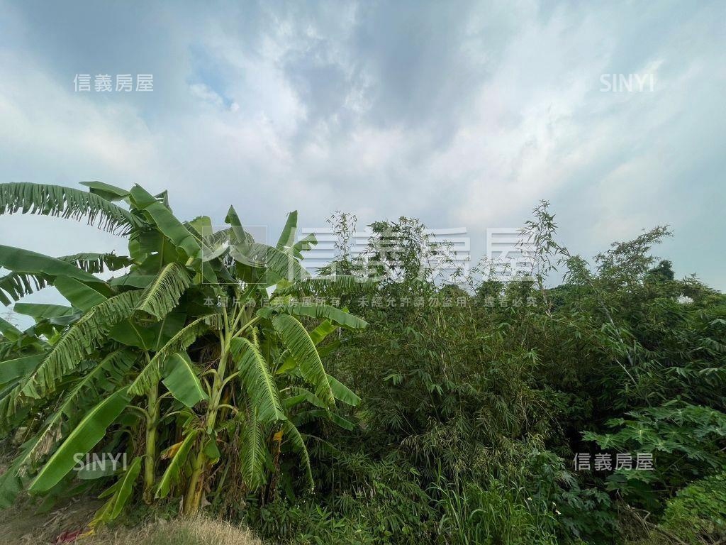 大寮土地四單位房屋室內格局與周邊環境
