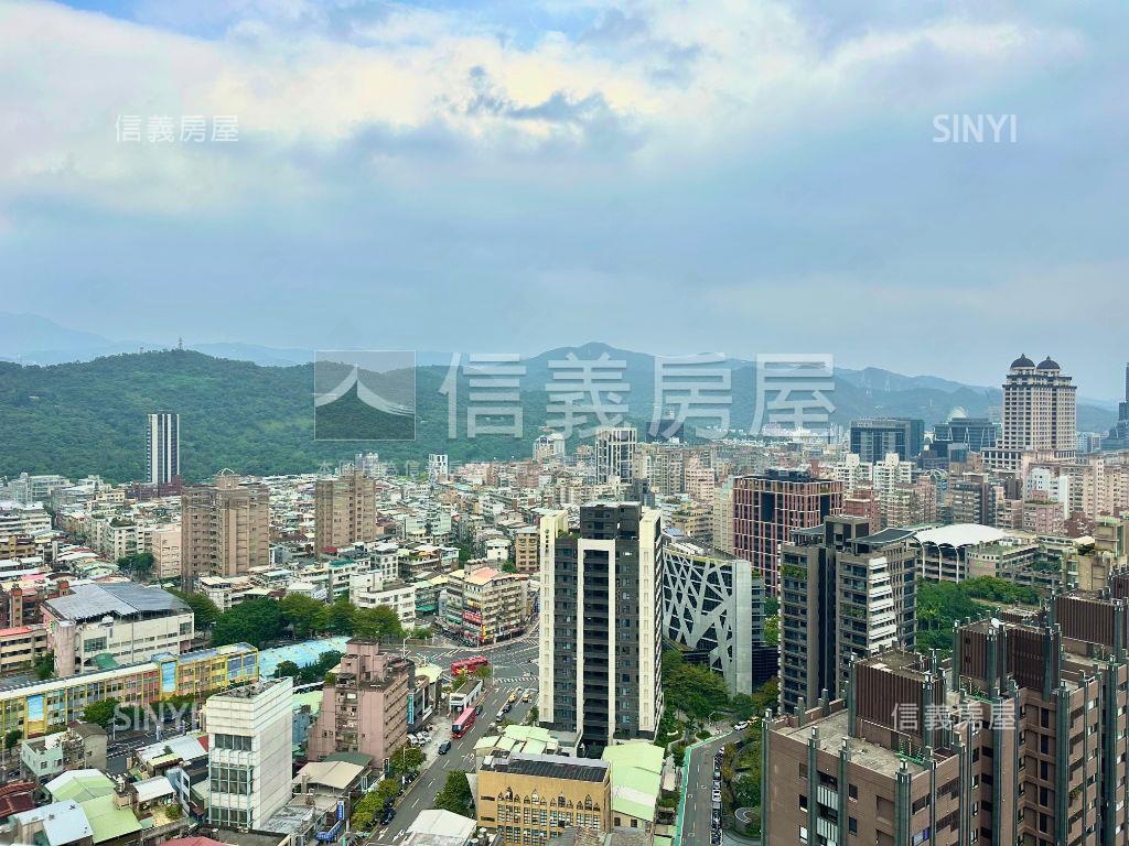 大陸工程河岸山景景觀戶房屋室內格局與周邊環境