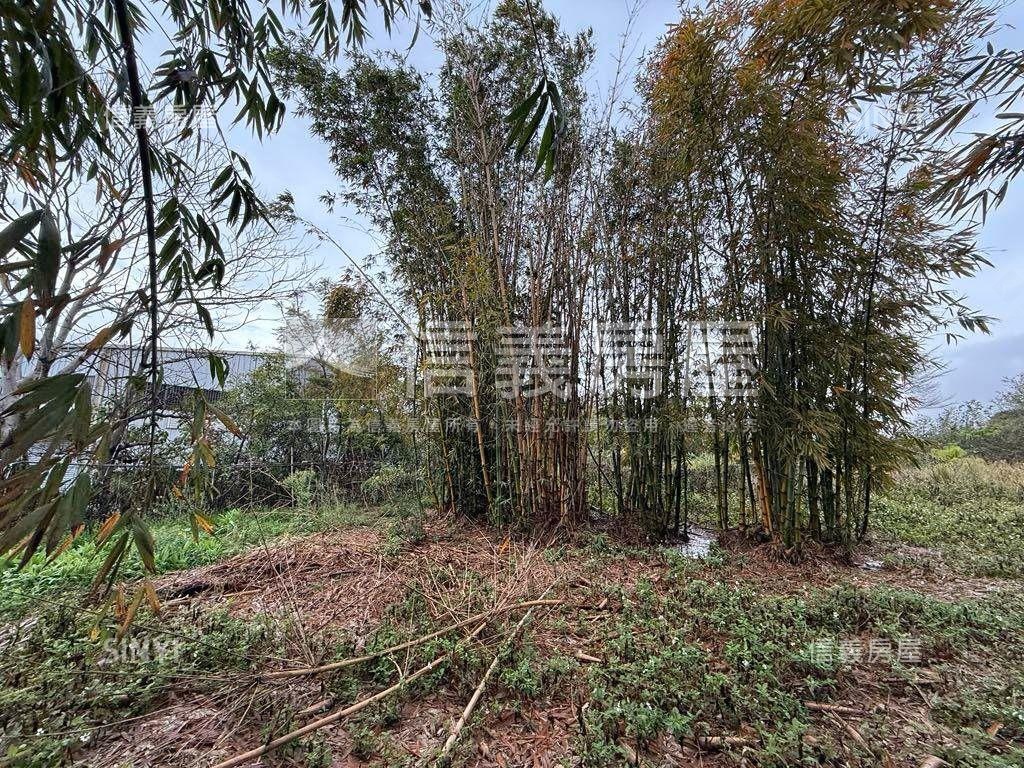 后里便宜農地房屋室內格局與周邊環境