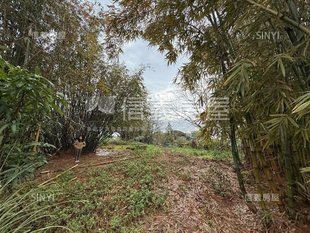 后里便宜農地房屋室內格局與周邊環境