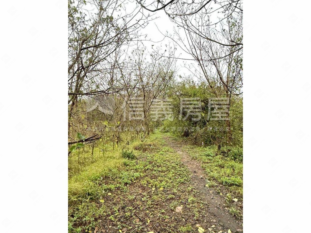 后里便宜農地房屋室內格局與周邊環境
