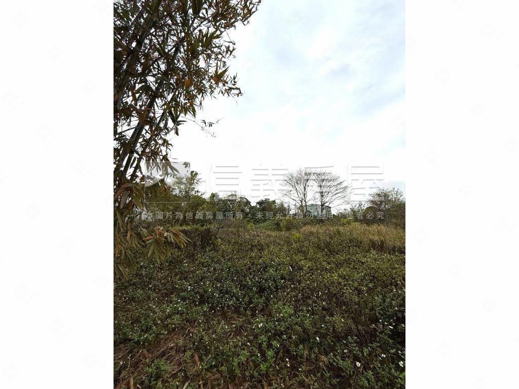 后里便宜農地房屋室內格局與周邊環境