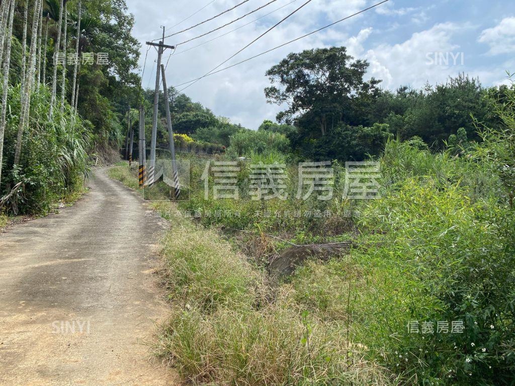 埔里稀有農地房屋室內格局與周邊環境