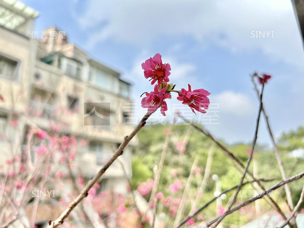 興福寮翠山居美景透天房屋室內格局與周邊環境