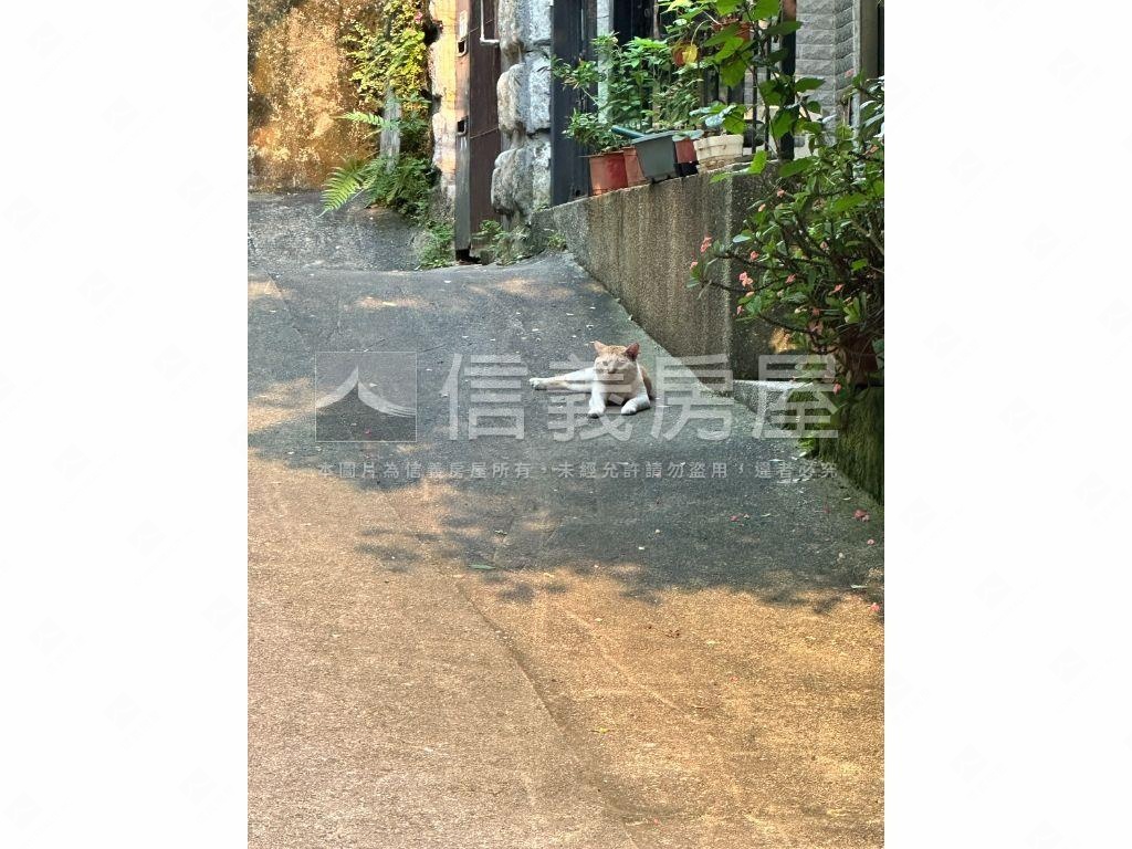 北投租寶盒★極致溫馨宅房屋室內格局與周邊環境