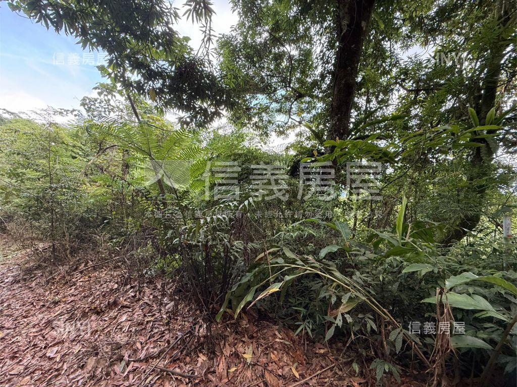 ♥國姓鄉農地歡迎詢問♥房屋室內格局與周邊環境