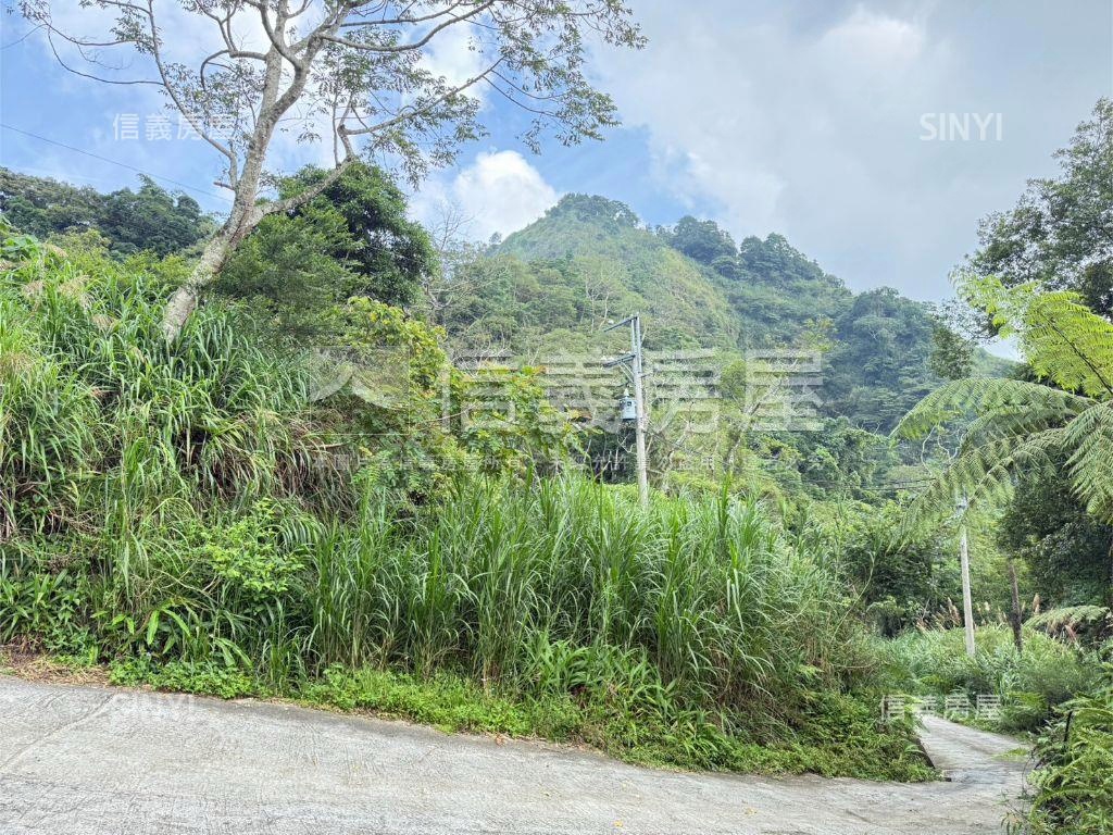 ♥國姓鄉農地歡迎詢問♥房屋室內格局與周邊環境
