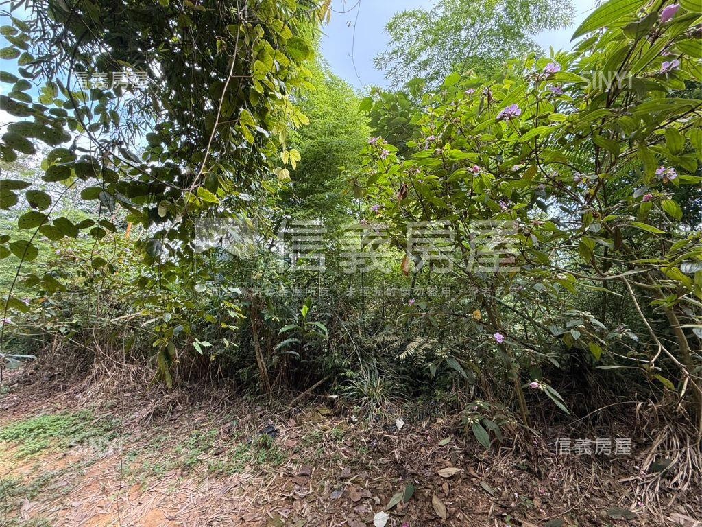♥國姓鄉農地歡迎詢問♥房屋室內格局與周邊環境