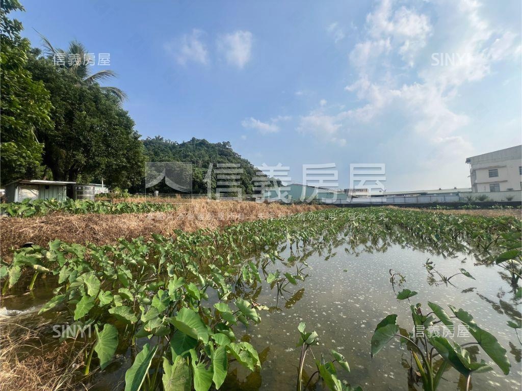 方正快樂大芋頭田房屋室內格局與周邊環境
