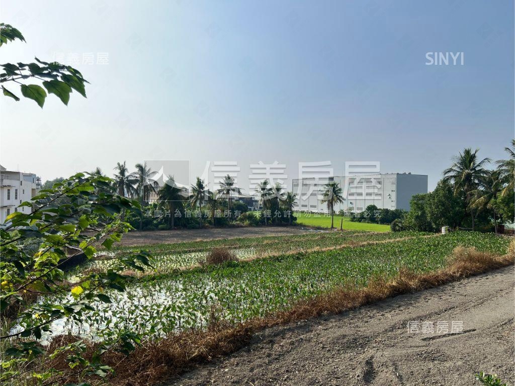 方正快樂大芋頭田房屋室內格局與周邊環境