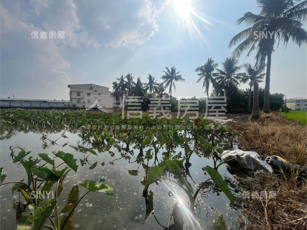方正快樂大芋頭田房屋室內格局與周邊環境