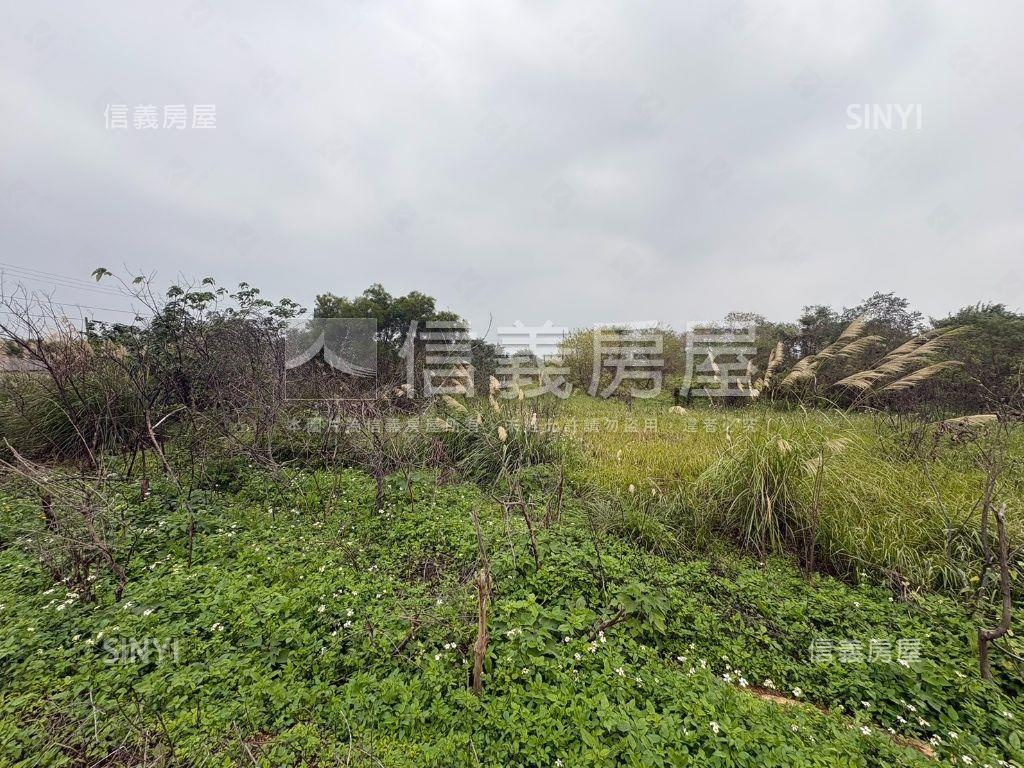 央大都計外農地房屋室內格局與周邊環境