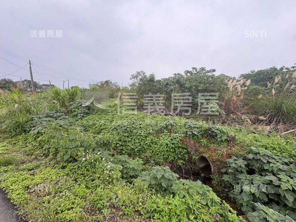 央大都計外農地房屋室內格局與周邊環境