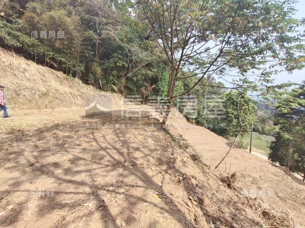 新竹✦尖石土地房屋室內格局與周邊環境