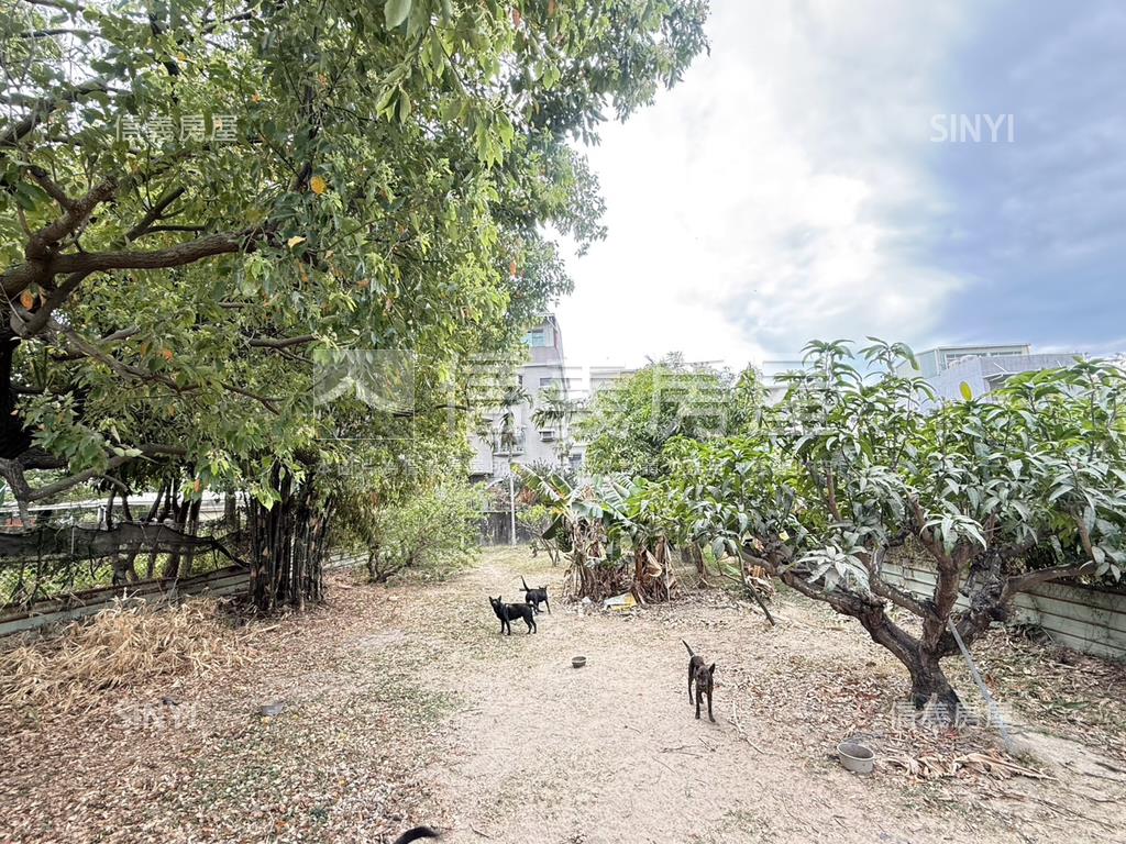 仁德國中對面都計農地房屋室內格局與周邊環境