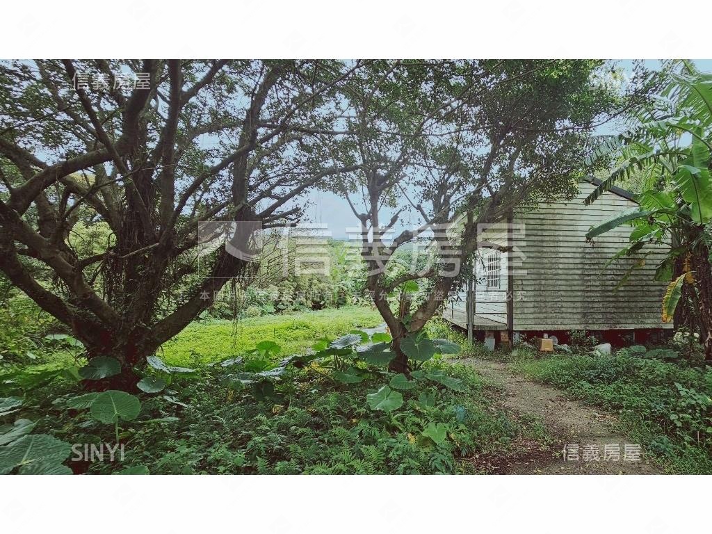 三芝向陽土地房屋室內格局與周邊環境