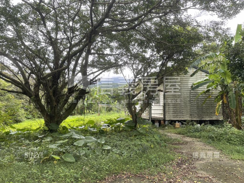 三芝向陽土地房屋室內格局與周邊環境