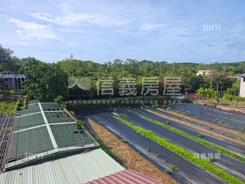 新化虎頭埤大坪鄉村風好宅房屋室內格局與周邊環境