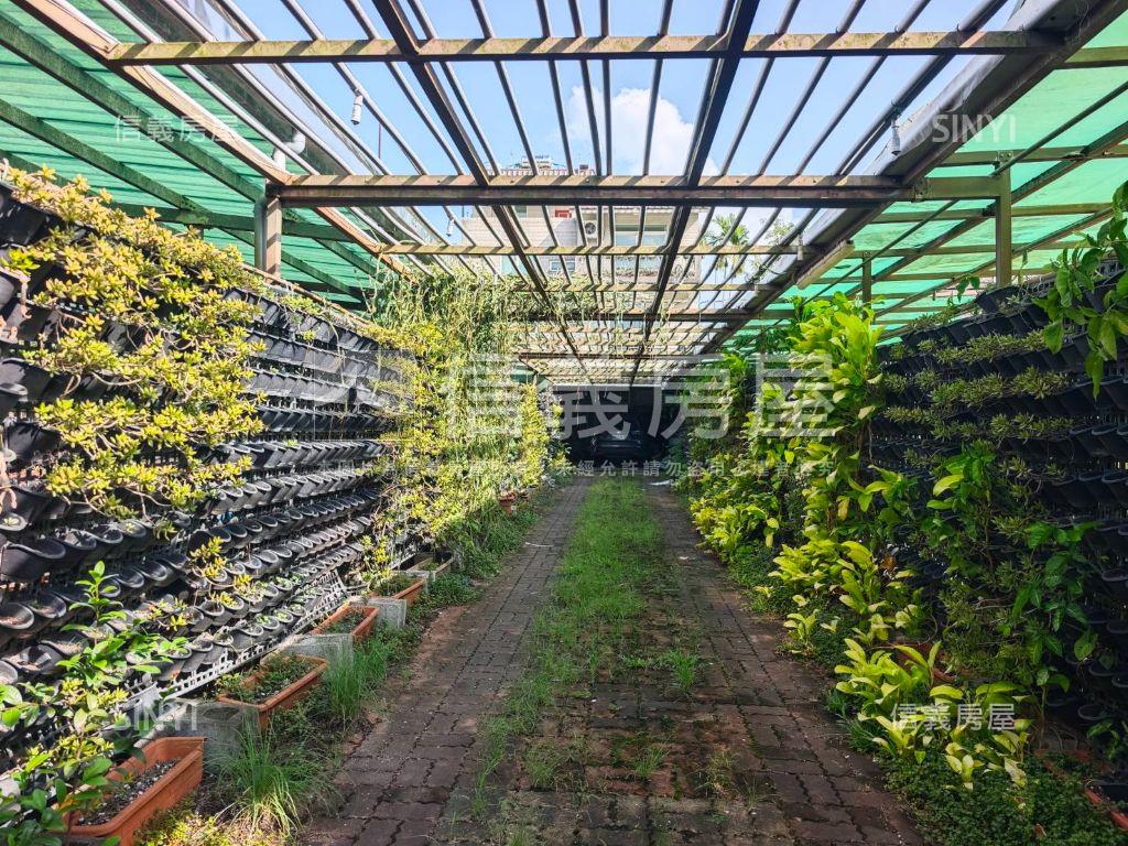 新化虎頭埤大坪鄉村風好宅房屋室內格局與周邊環境