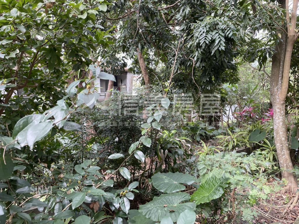 士林雙溪國小旁方正透天房屋室內格局與周邊環境
