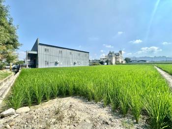 專任約１０６１坪臨路農地