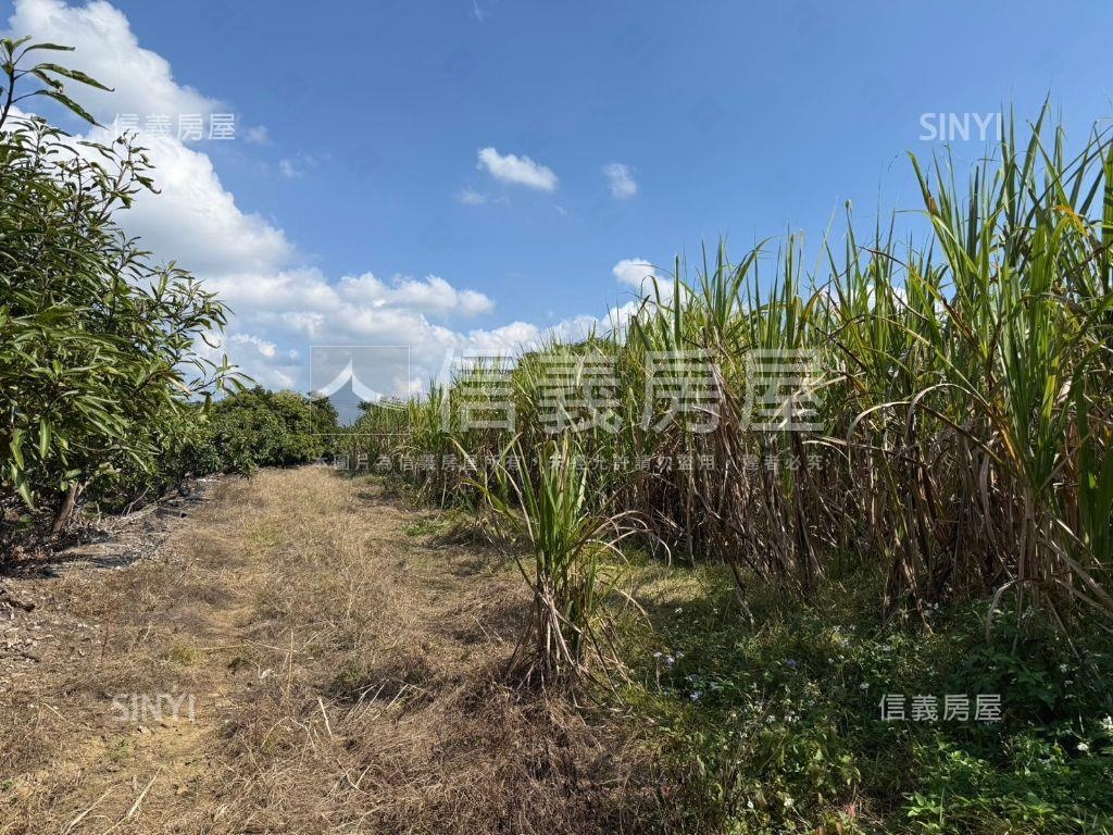 玉井玄天段十分農地房屋室內格局與周邊環境