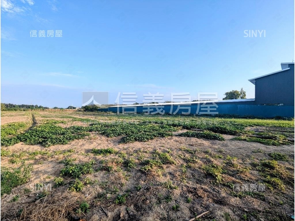 永安近台１７線約三分農地房屋室內格局與周邊環境