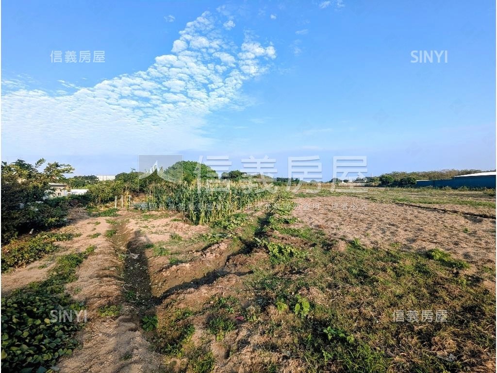 永安近台１７線約三分農地房屋室內格局與周邊環境