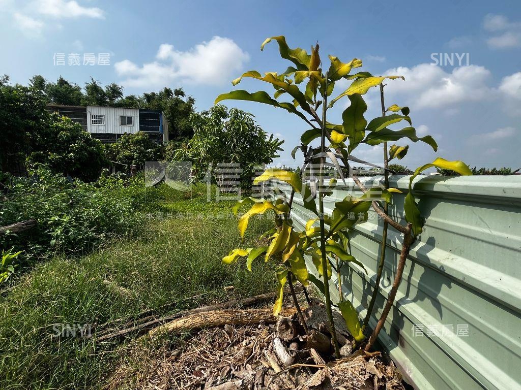 七股假日農夫水果富翁房屋室內格局與周邊環境