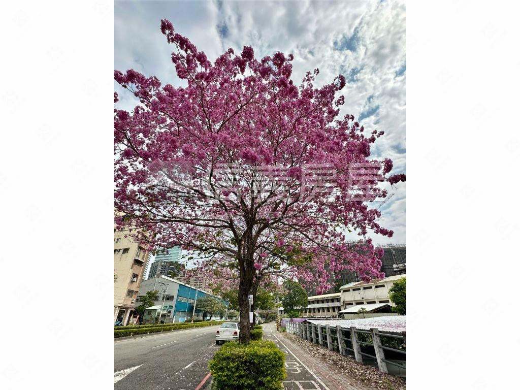 健康綠園道私藏雙店面房屋室內格局與周邊環境