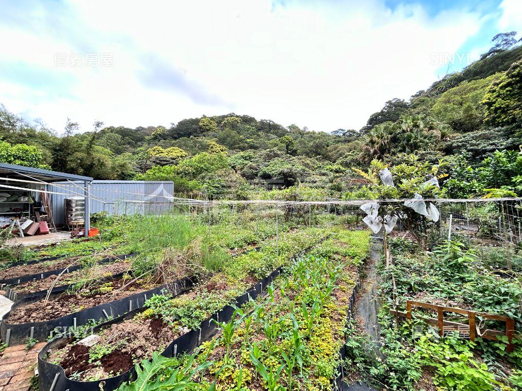 楓愛林莊園別墅開心農莊房屋室內格局與周邊環境