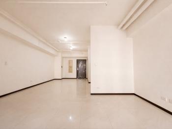 河堤世界平車美宅