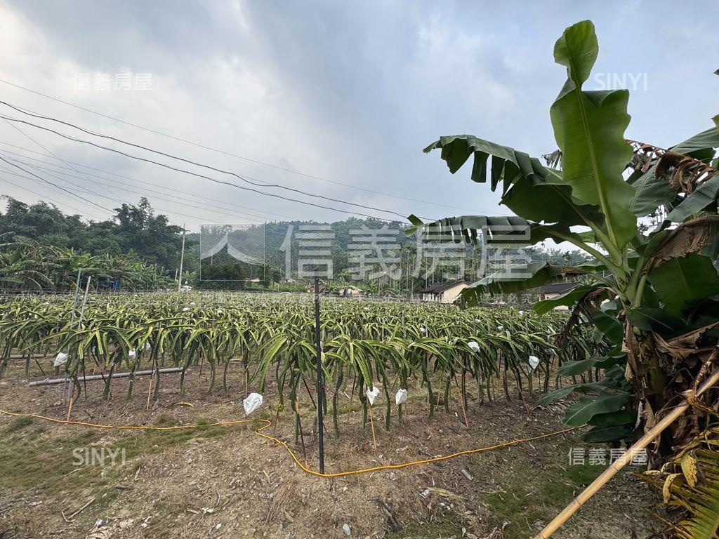 ★專任！集集稀有開心農場房屋室內格局與周邊環境