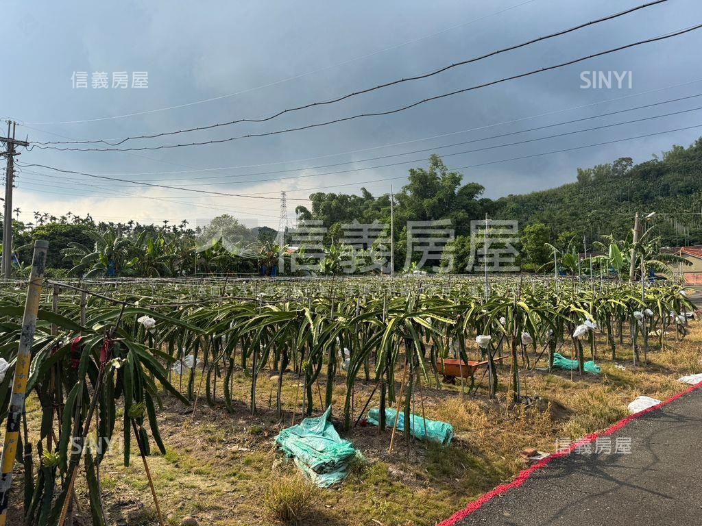 ★專任！集集稀有開心農場房屋室內格局與周邊環境