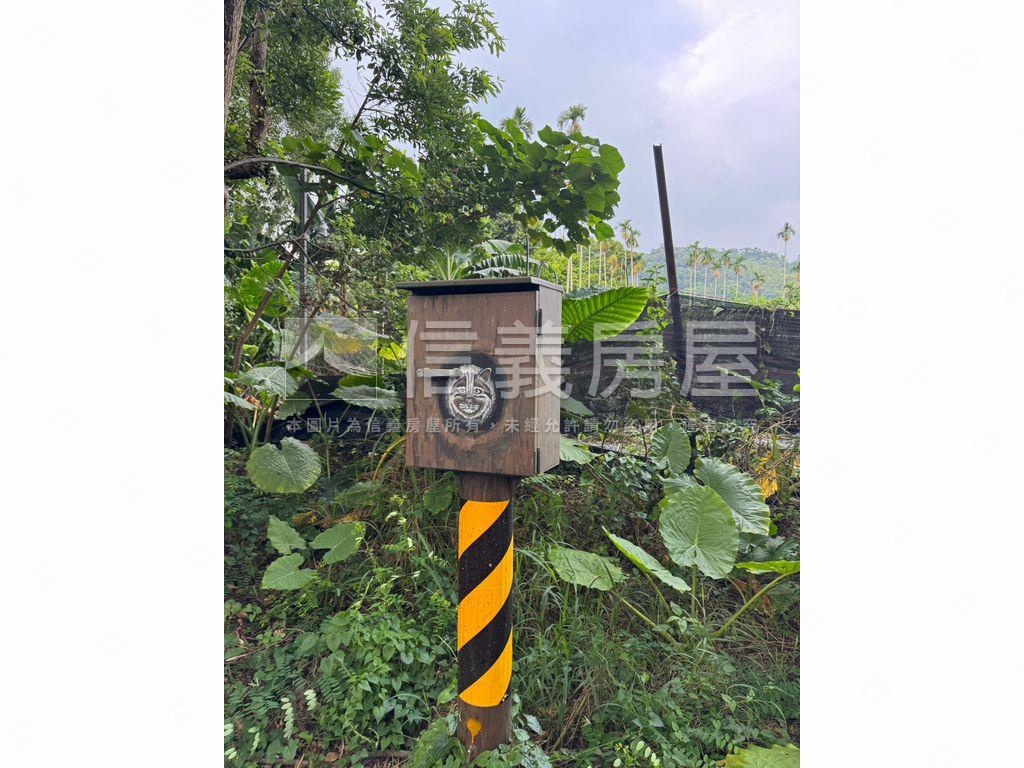 ★專任！集集稀有開心農場房屋室內格局與周邊環境