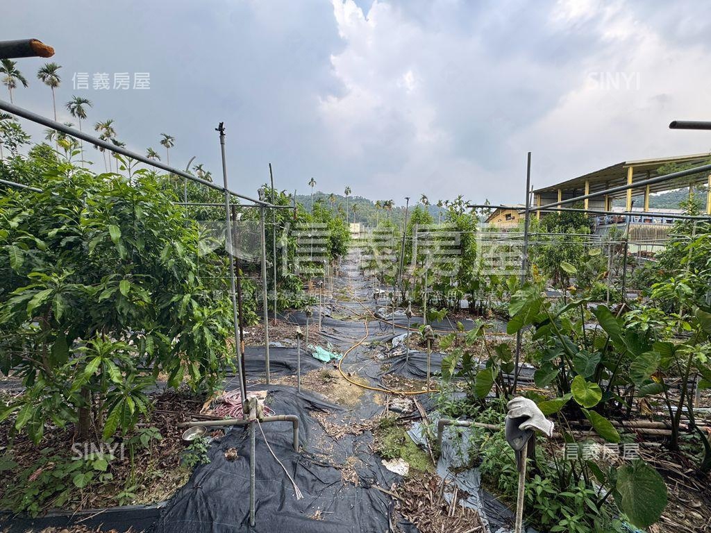 ★專任！集集稀有開心農場房屋室內格局與周邊環境