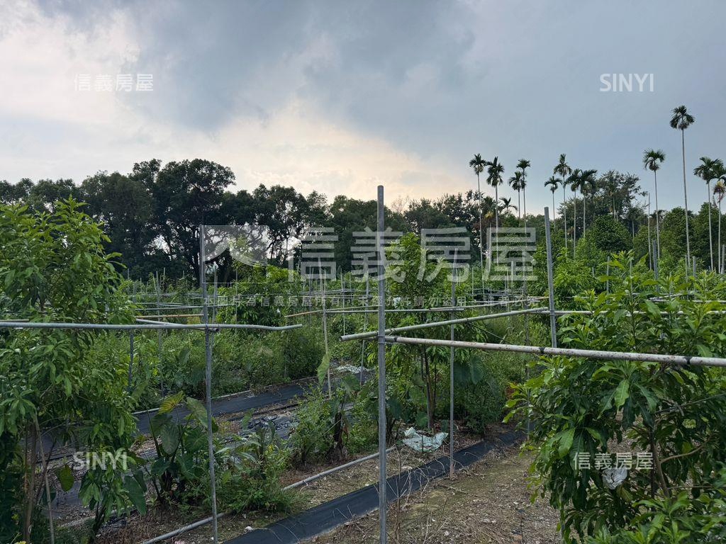 ★專任！集集稀有開心農場房屋室內格局與周邊環境